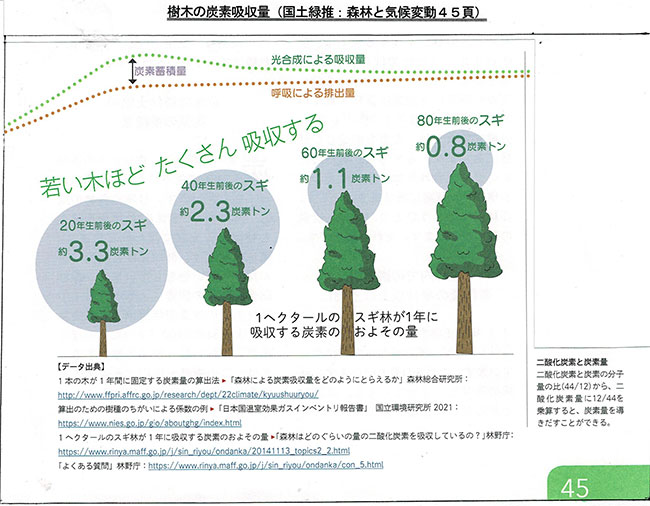 樹木の炭素吸収量（若いほど大）